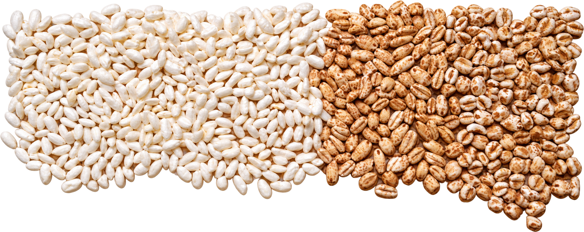 Distintos cereales inflados procesados con máquinas GMG